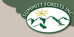 Summitt Forests Inc. Home