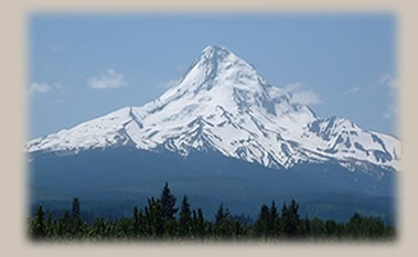 Summitt Forests Inc. - Forestry Consulting