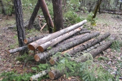 Summitt Forests Gallery