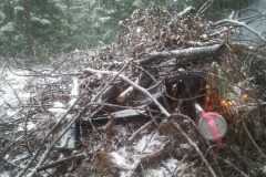 Summitt Forests Gallery