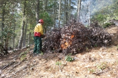 Summitt Forests Gallery